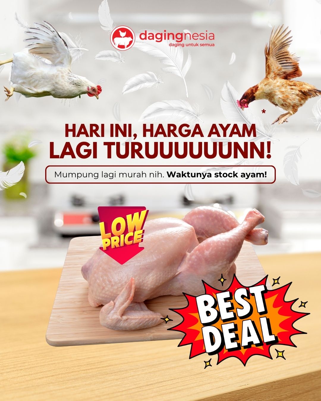 Harga Ayam Sedang Turun, Saatnya Isi Stok Lauk di Rumah!