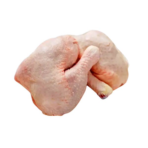 Daging Ayam